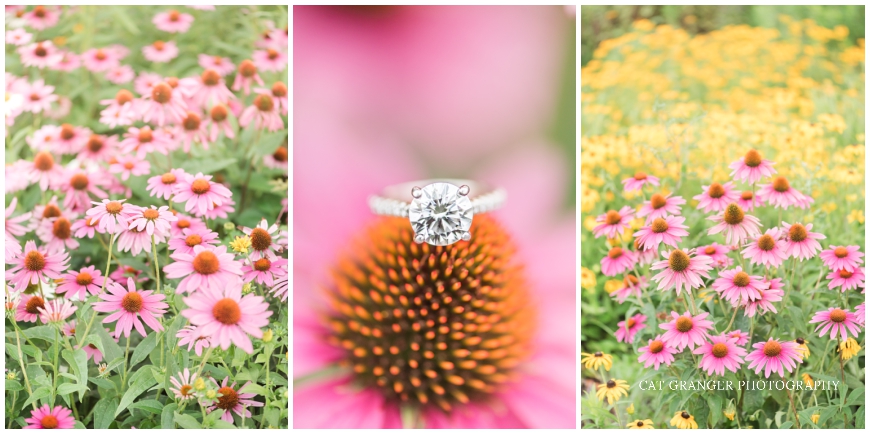 wildflowers engagement ring photo georgetown waterfront park 