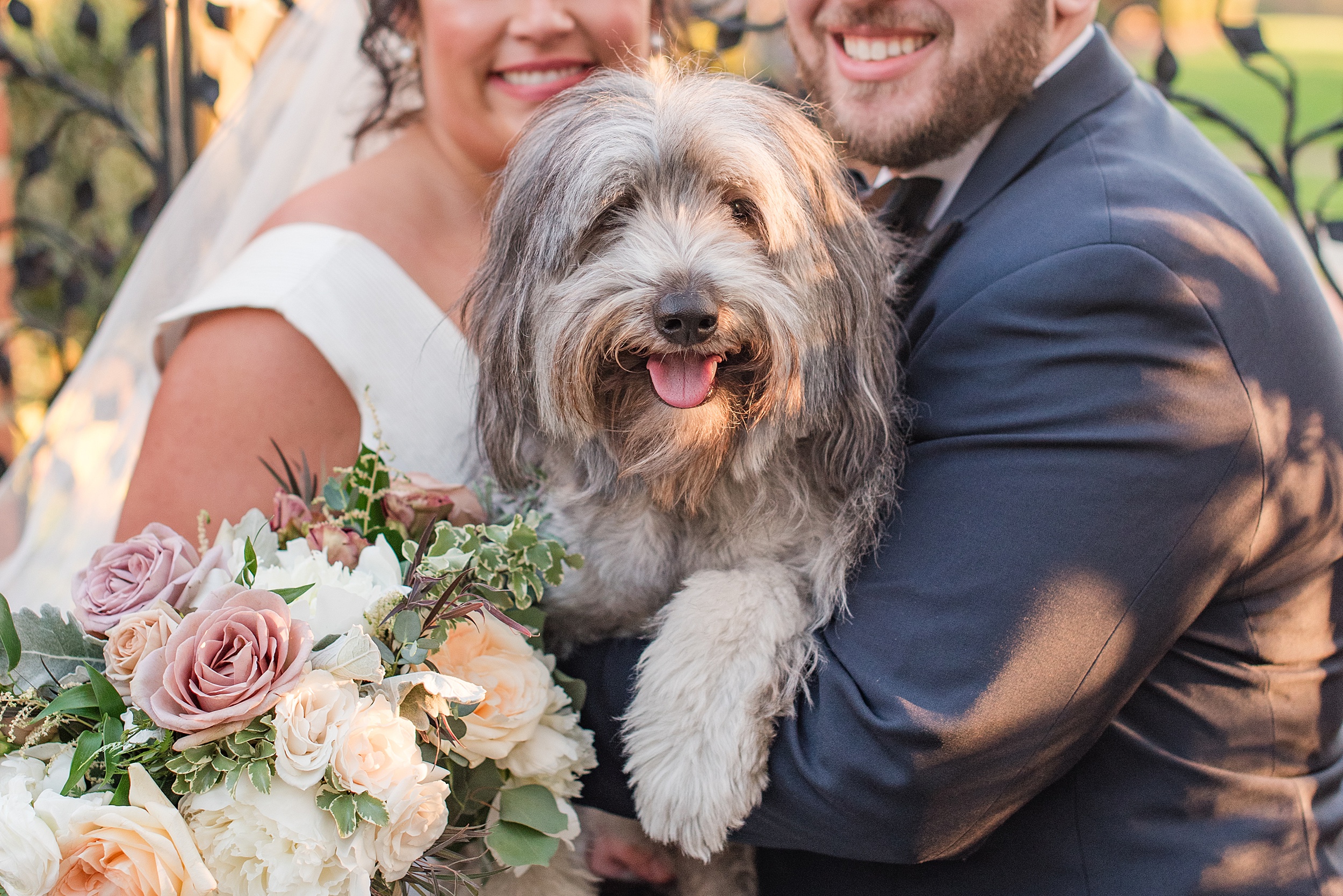 Newlyweds hold their dog while standing in a garden at sunset at their Brittland Estates Wedding