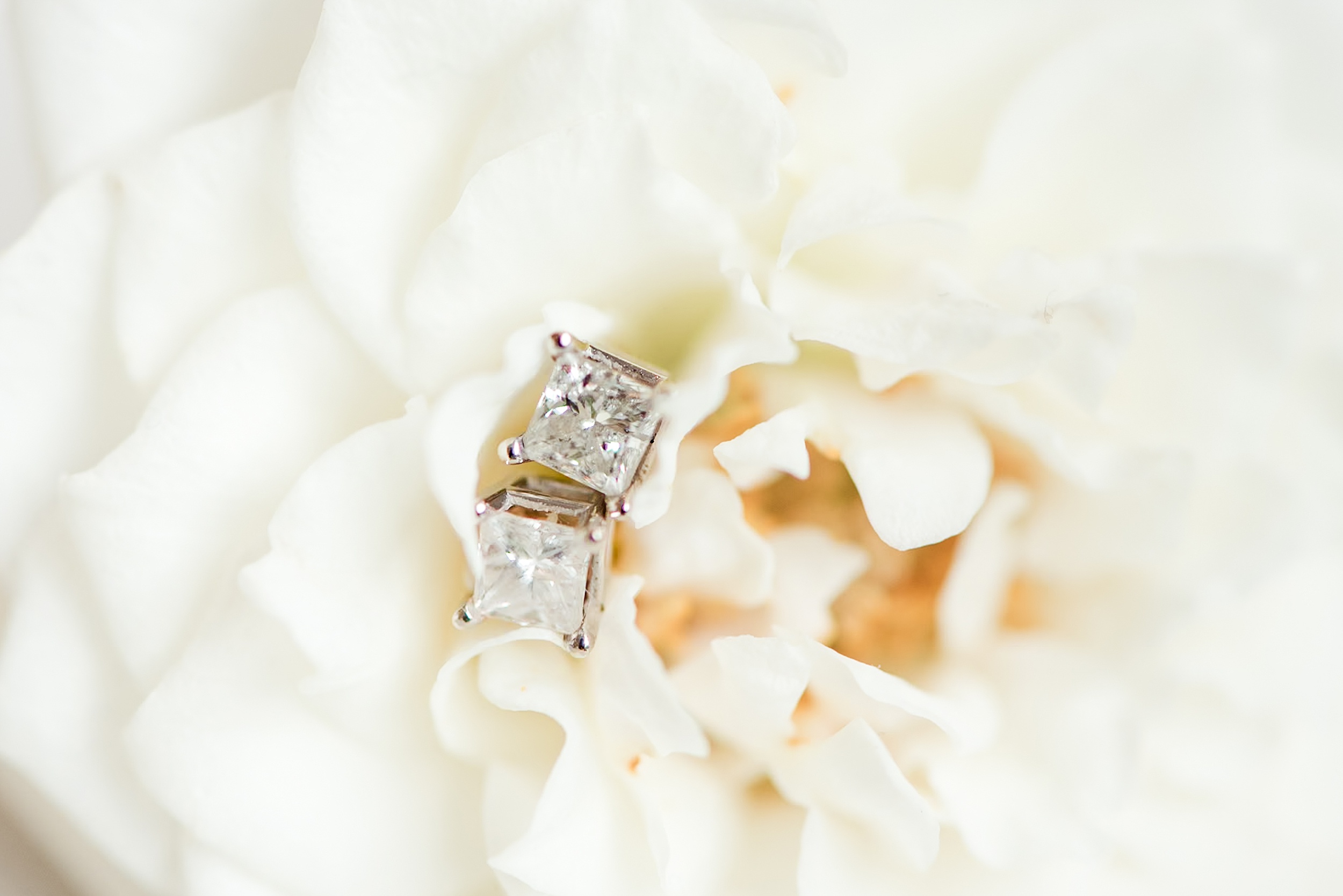 Details of diamond earrings sitting in a flower