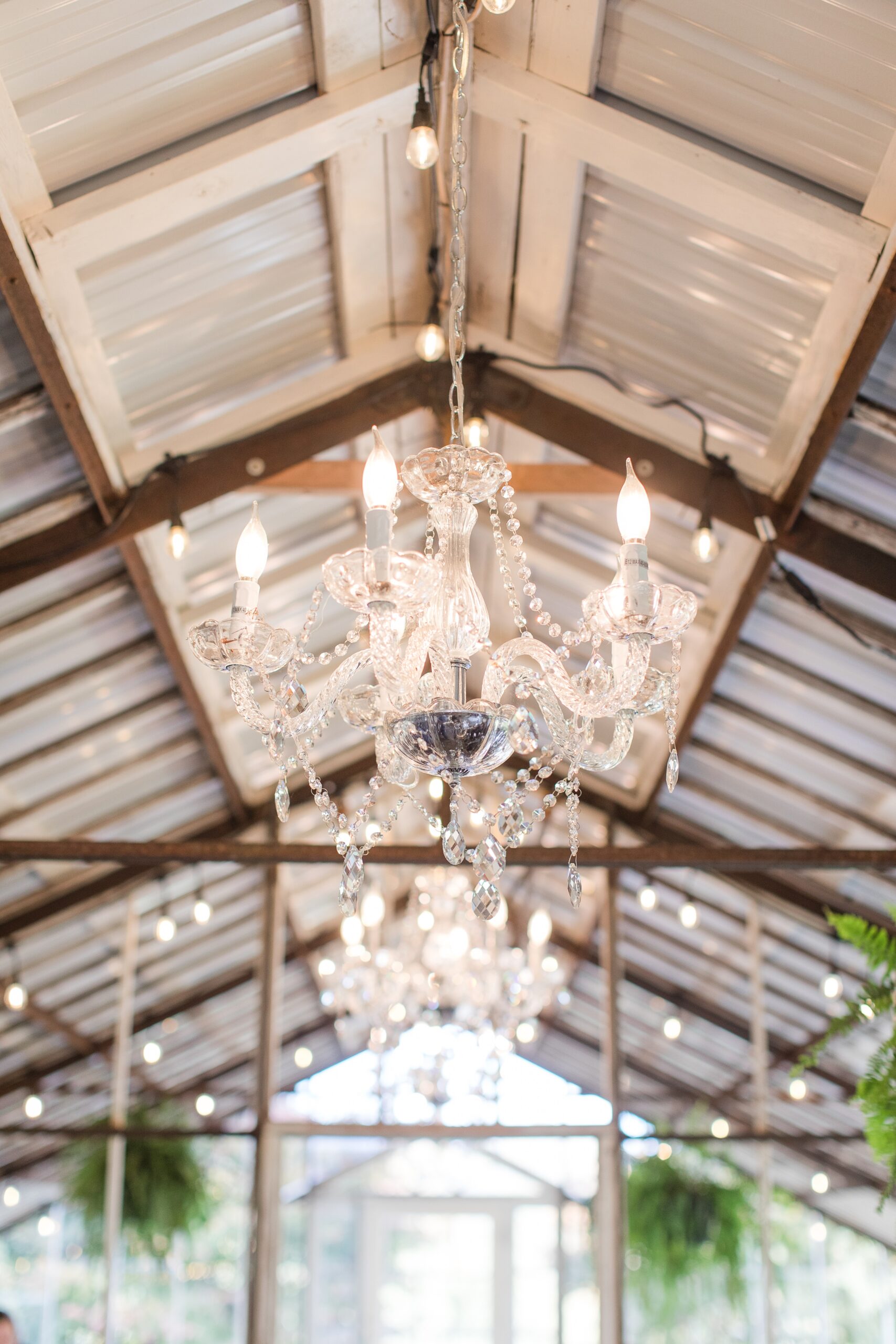 Details of a chandelier hanging in the greenhouse ceremony space