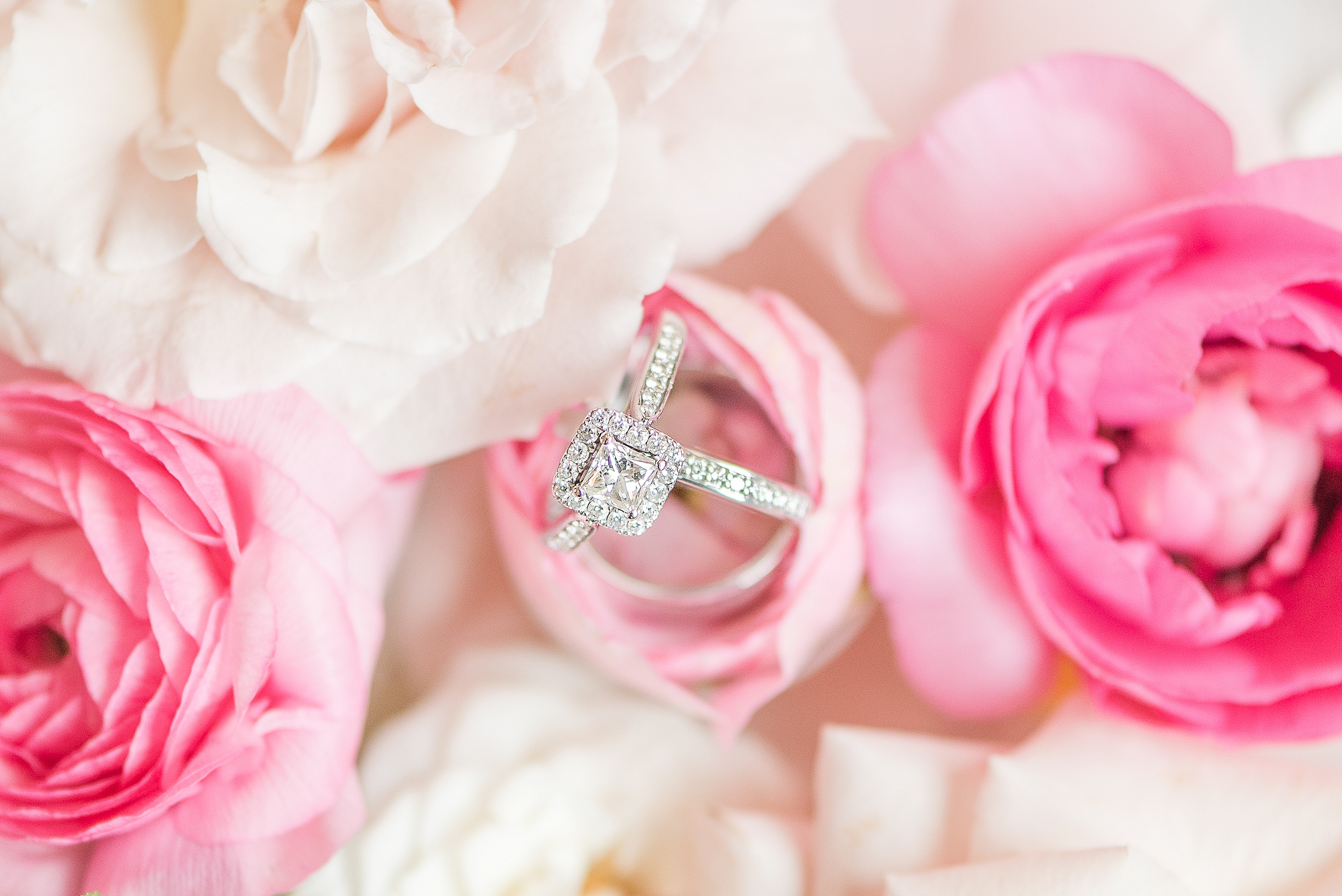 Details of wedding rings standing in a pink rose